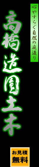 �ⶶ¤������